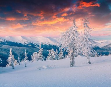 摩羯座最可怕的能力 摩羯座身上有哪些不容被忽视的地方