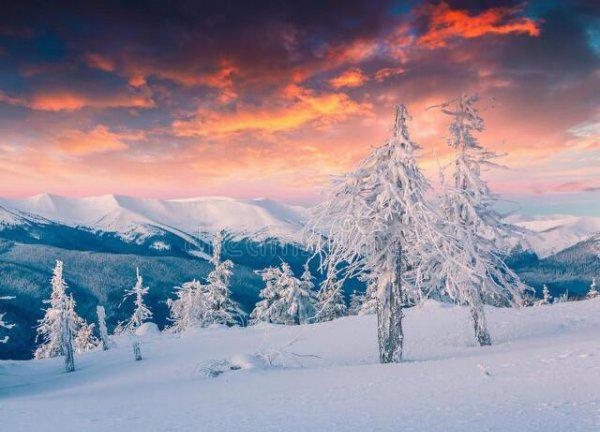 摩羯座最可怕的能力