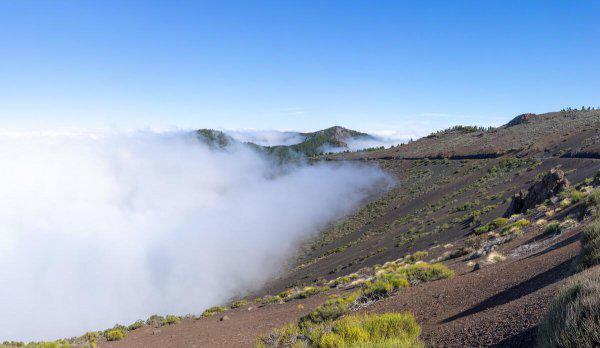 摩羯座最可怕的能力