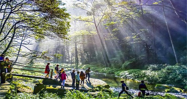 张家界要去玩几天合适
