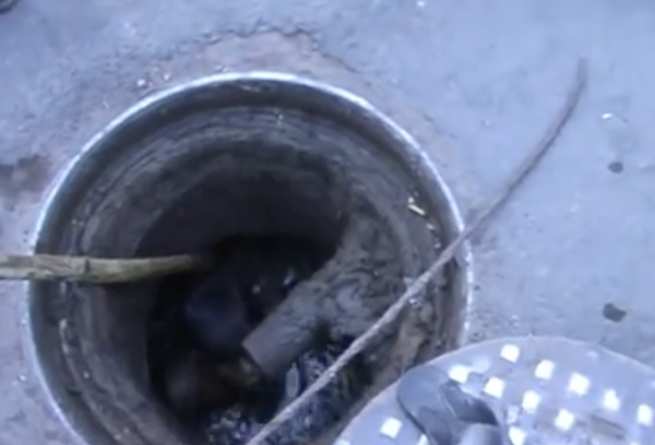 印度种姓制度五个等级