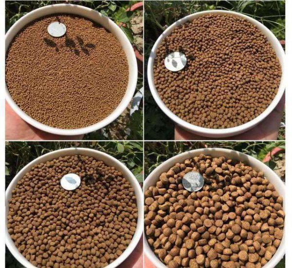 观赏鱼食过期了还能喂鱼吗