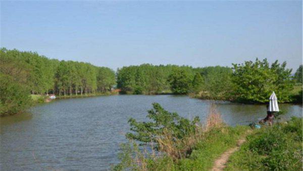 野河钓鱼怎样找鱼窝