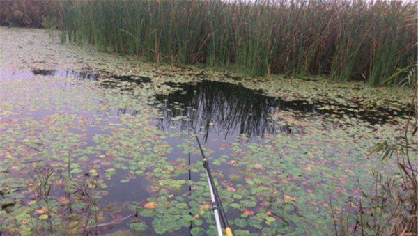 野河钓鱼怎样找鱼窝