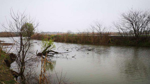 野河钓鱼怎样找鱼窝