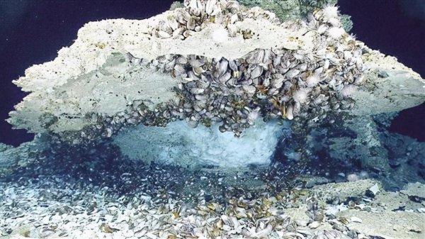 可燃冰主要化学成分是什么