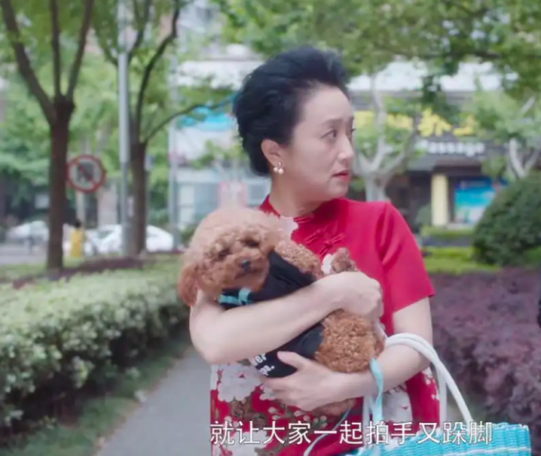 女演员杨昆个人简历