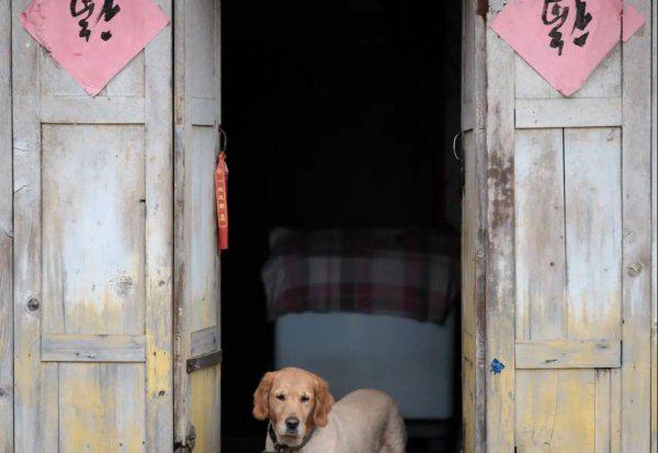 成都古镇排名前5位