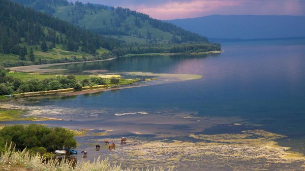 俄罗斯的河流有哪些