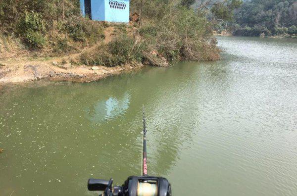 路亚竿能钓鲫鱼草鱼鲤鱼吗