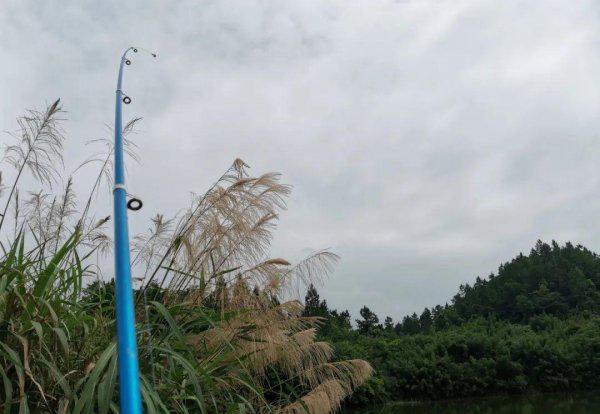 路亚竿能钓鲫鱼草鱼鲤鱼吗
