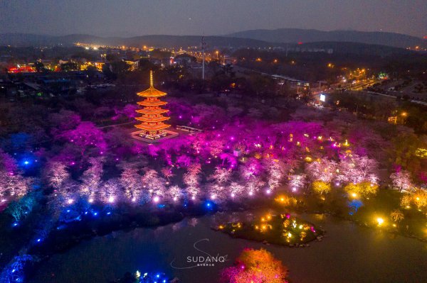 世界三大赏樱胜地是哪几个