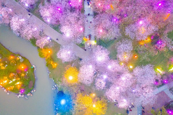 世界三大赏樱胜地是哪几个