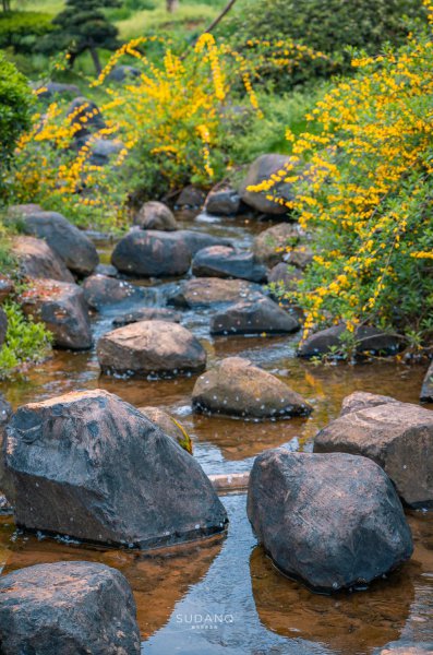 世界三大赏樱胜地是哪几个