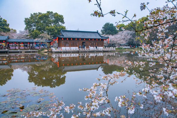 世界三大赏樱胜地是哪几个