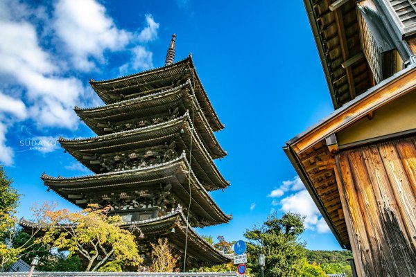 世界三大赏樱胜地是哪几个