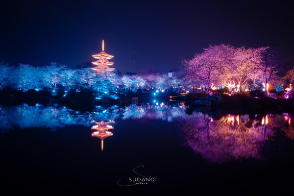 世界三大赏樱胜地是哪几个