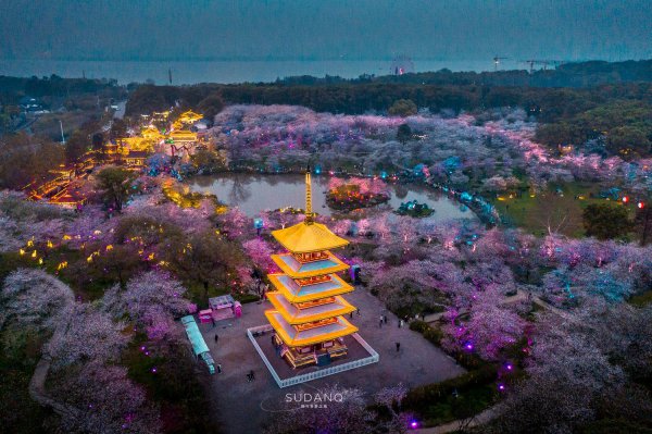 世界三大赏樱胜地是哪几个