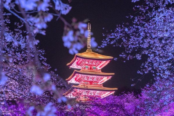 世界三大赏樱胜地是哪几个