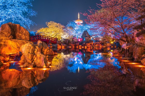 世界三大赏樱胜地是哪几个