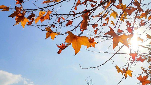 朱熹最有名的诗有哪几首