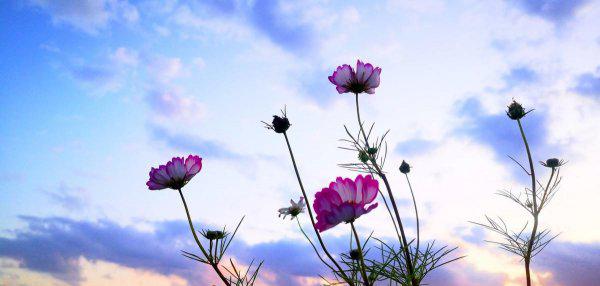 朱熹最有名的诗有哪几首