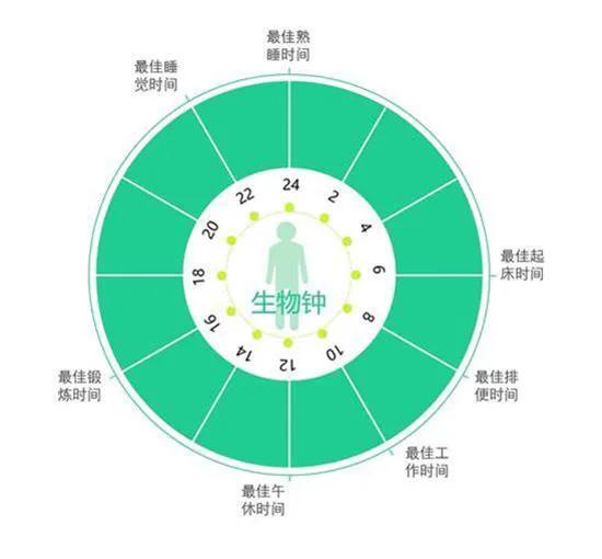 历史上悬梁刺股是谁的故事