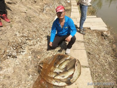 玉米钓鱼能钓什么鱼 玉米粒钓鱼的种类及垂钓技巧
