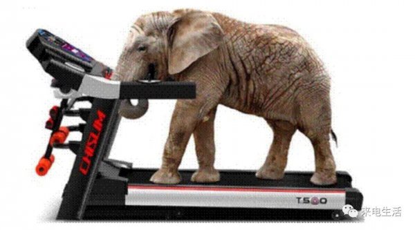 家用型跑步机哪种好