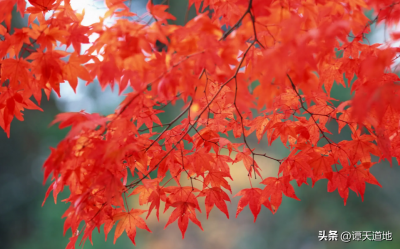 哈尔滨游玩景点排行榜 值得秋游哈尔滨的3个地方攻略