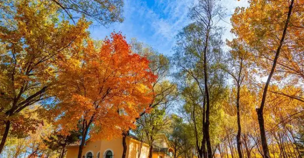 哈尔滨游玩景点排行榜