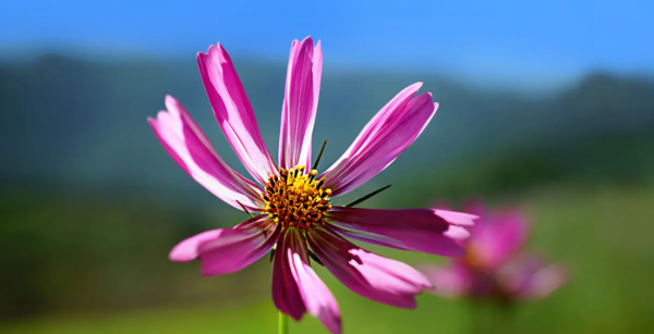 哈尔滨游玩景点排行榜