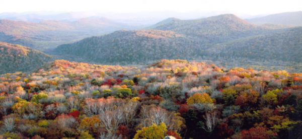 哈尔滨游玩景点排行榜