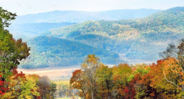 哈尔滨游玩景点排行榜