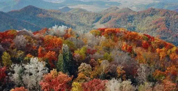 哈尔滨游玩景点排行榜