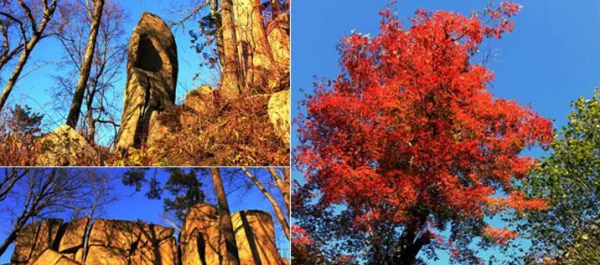 哈尔滨游玩景点排行榜