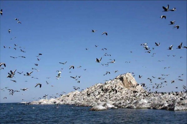 青海湖在哪个城市