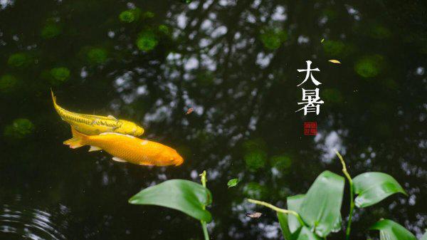 中国最凉快的十大城市