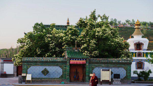 中国最凉快的十大城市