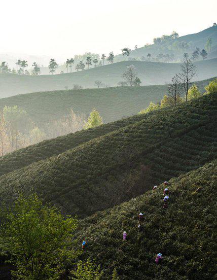 中国最凉快的十大城市