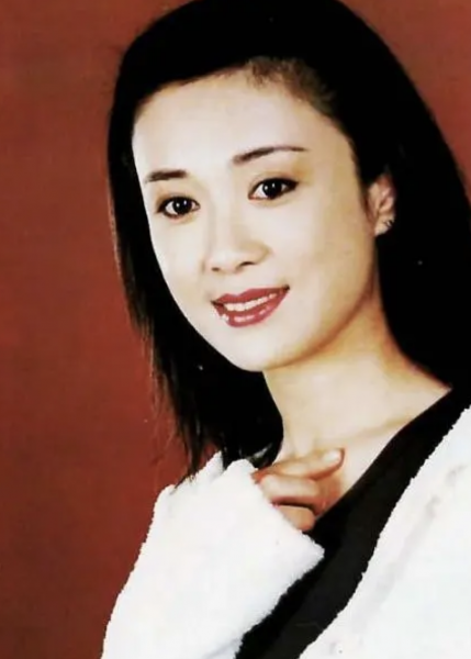 傅艺伟演的电视剧有哪些