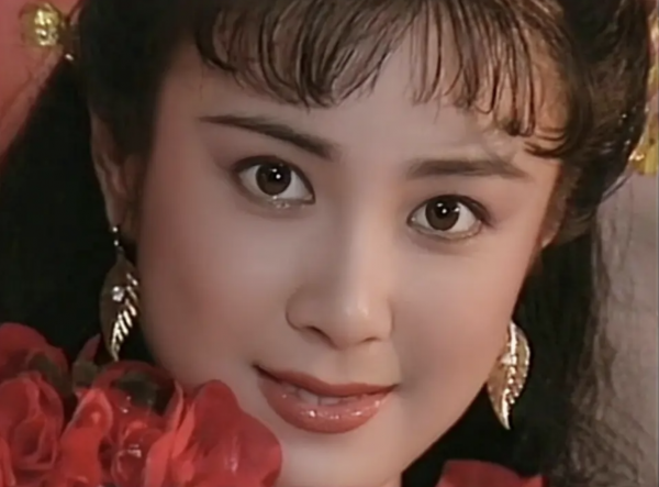 傅艺伟演的电视剧有哪些