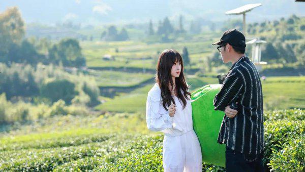 最值得追的电视剧