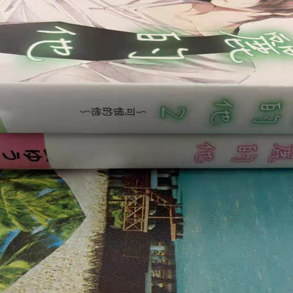 日剧美丽的他小说介绍