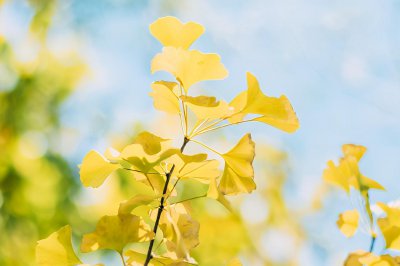 最有谋略的星座女 做事情有勇有谋的星座女排名前三