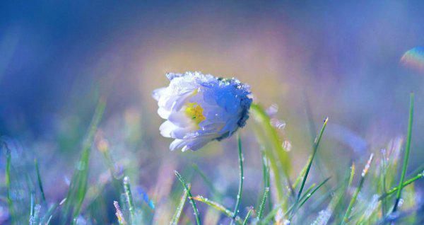 谁是水瓶座的宿命伴侣