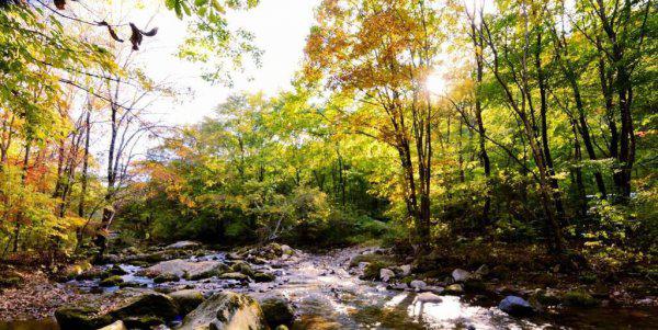 怎样理解金生水的含义