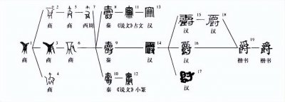 在古代爵是一种什么器皿 爵是如何从酒器演变成制度的