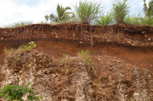 火山最多的洲是哪个洲