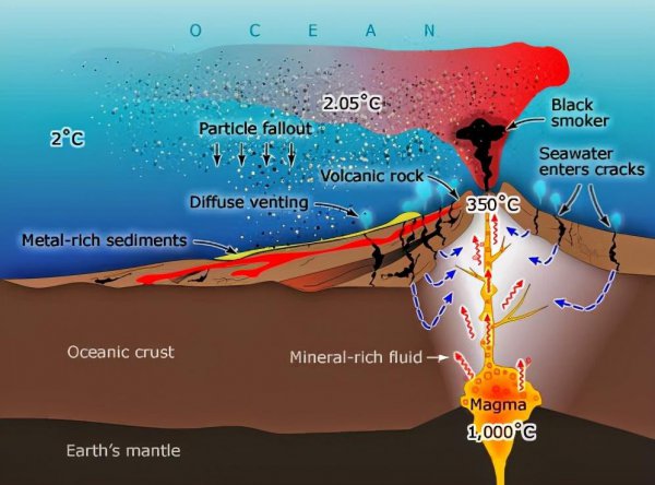 火山最多的洲是哪个洲